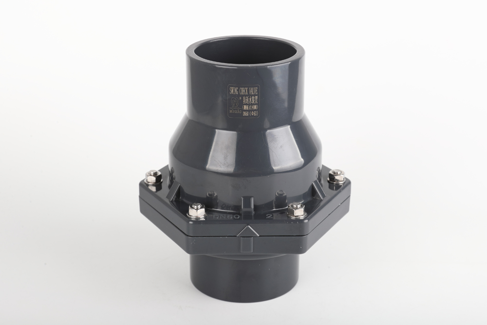 彬村山华侨农场翻板式止回阀