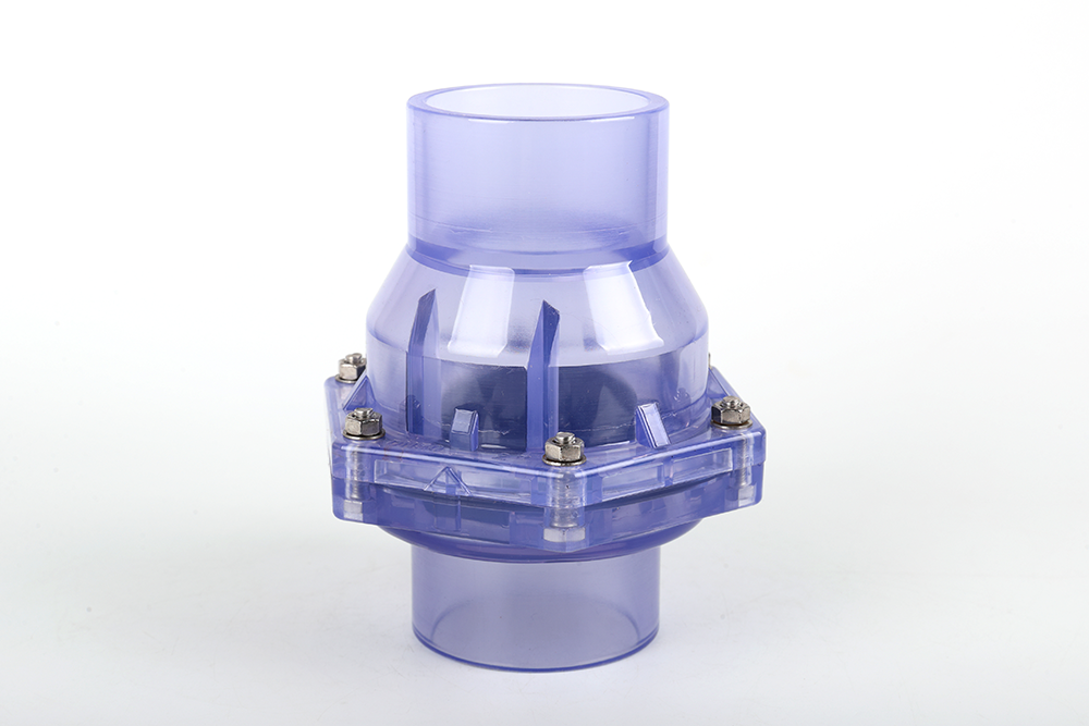 彬村山华侨农场透明翻板式止回阀